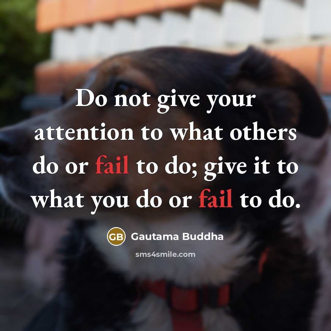 “Do not give your attention to what others do or…” quote by Gautama Buddha