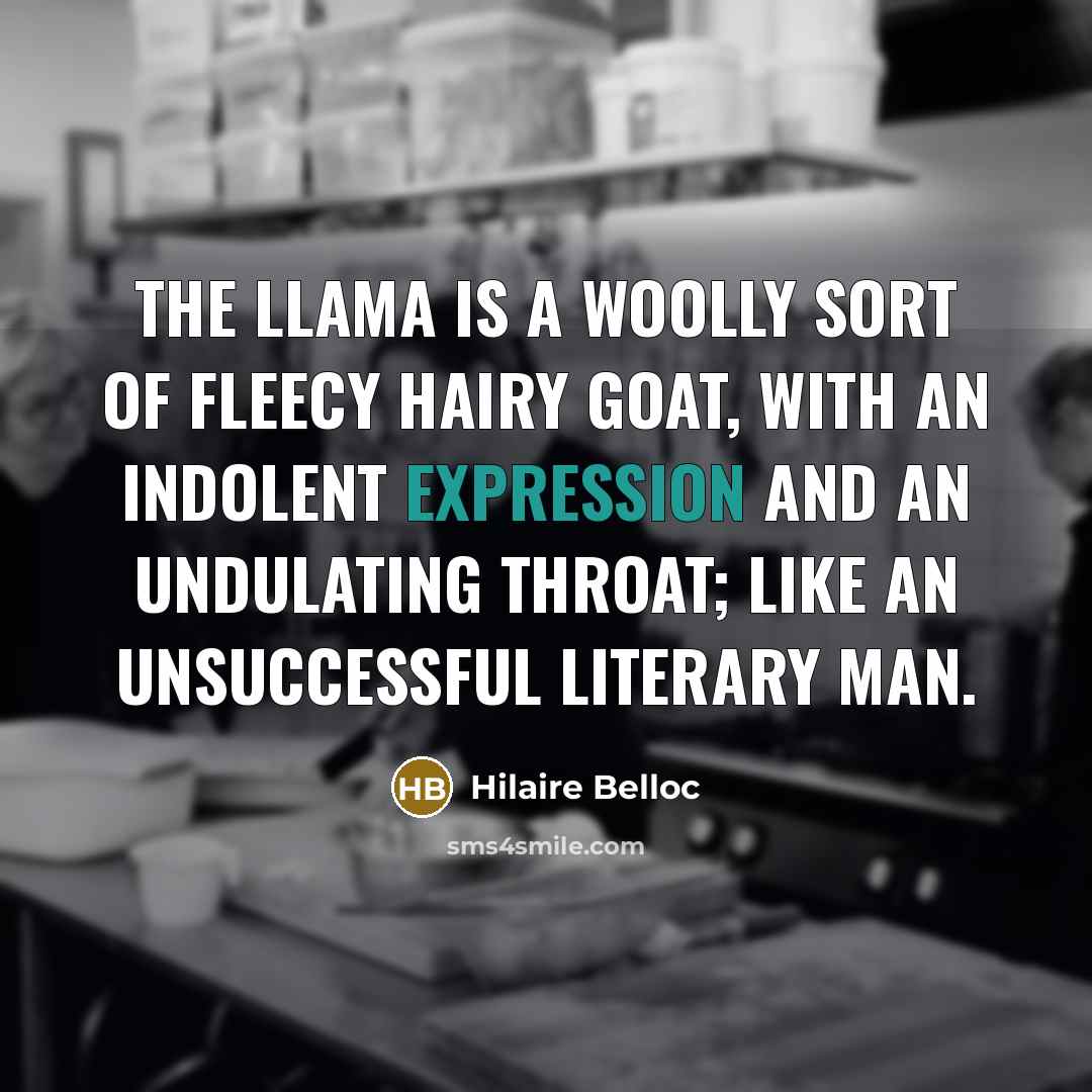 “The Llama is a woolly sort of fleecy hairy goat,…” quote by Hilaire Belloc