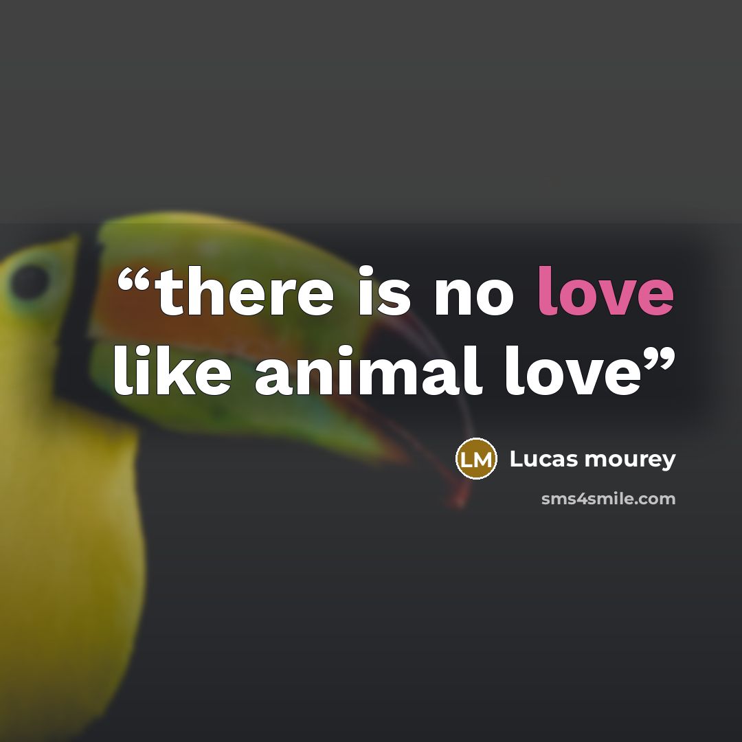 “there is no love like animal love” quote by Lucas mourey