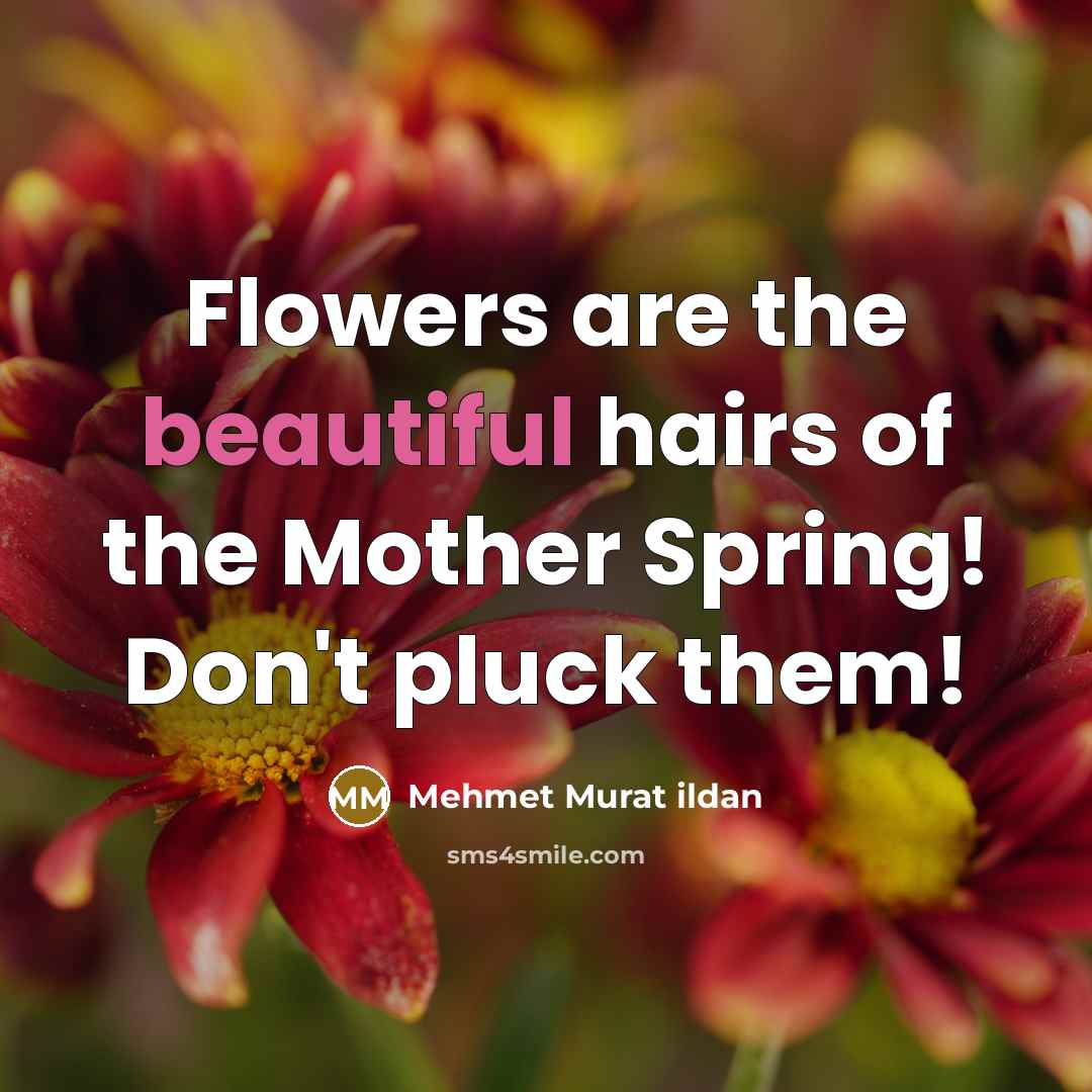 “Flowers are the beautiful hairs of the Mother Spring! Don't…” quote by Mehmet Murat Ildan