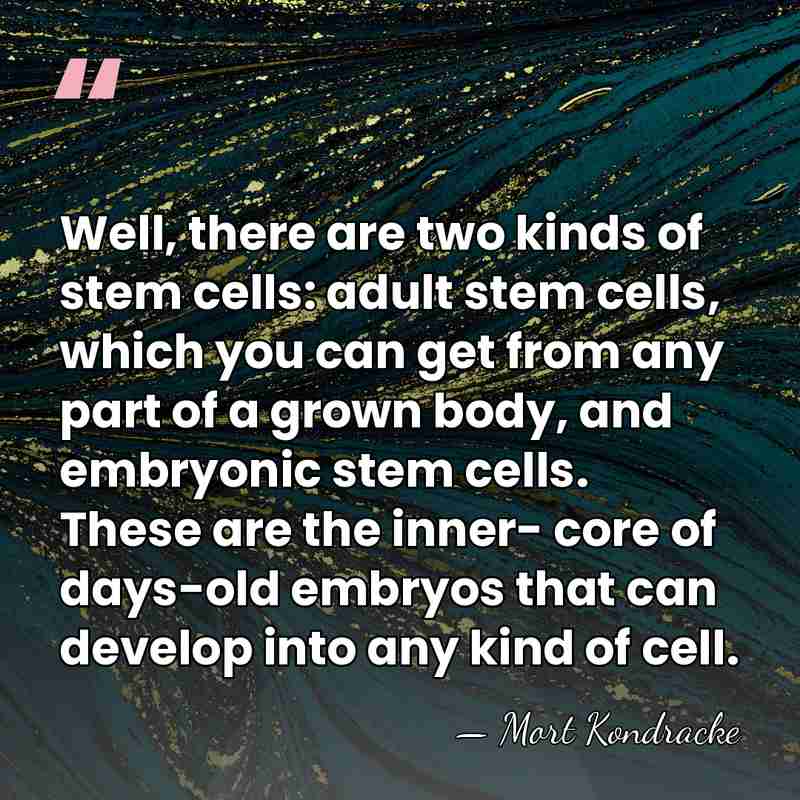 Well, there are two kinds of stem cells: adult stem cells, which&hellip; - Mort Kondracke