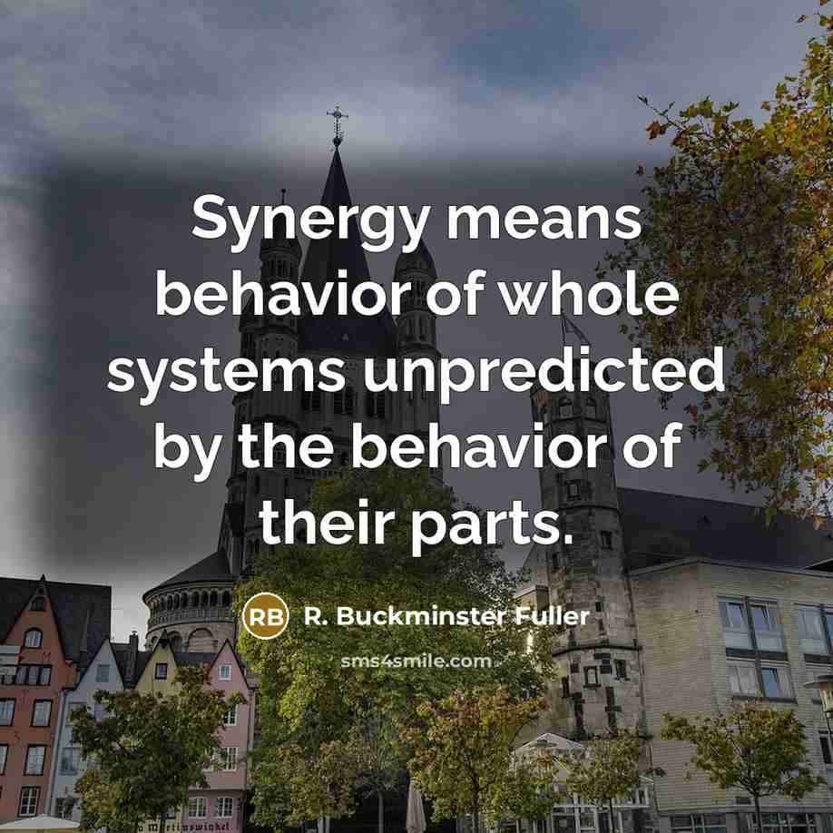 “Synergy means behavior of whole systems unpredicted by the behavior…” quote by R. Buckminster Fuller