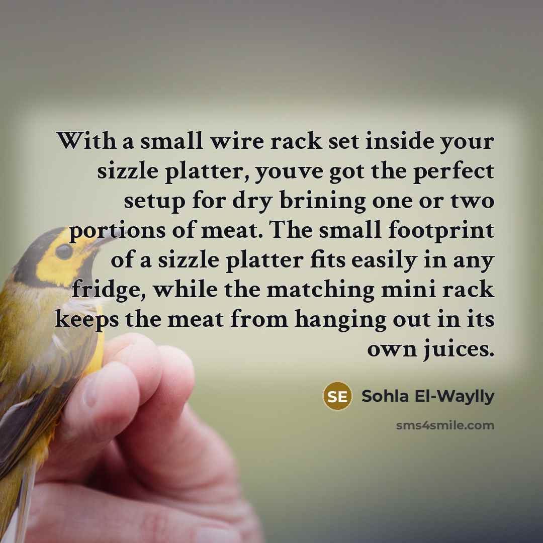 “With a small wire rack set inside your sizzle platter,…” quote by Sohla El-Waylly