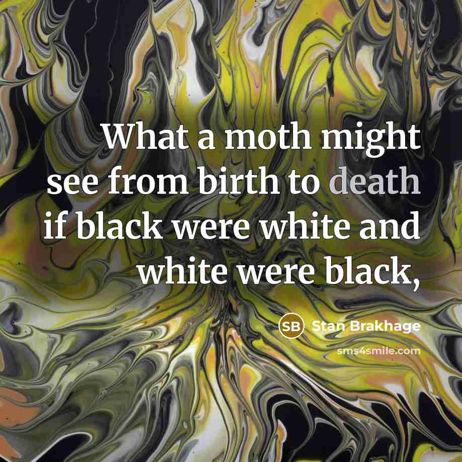 “What a moth might see from birth to death if…” quote by Stan Brakhage
