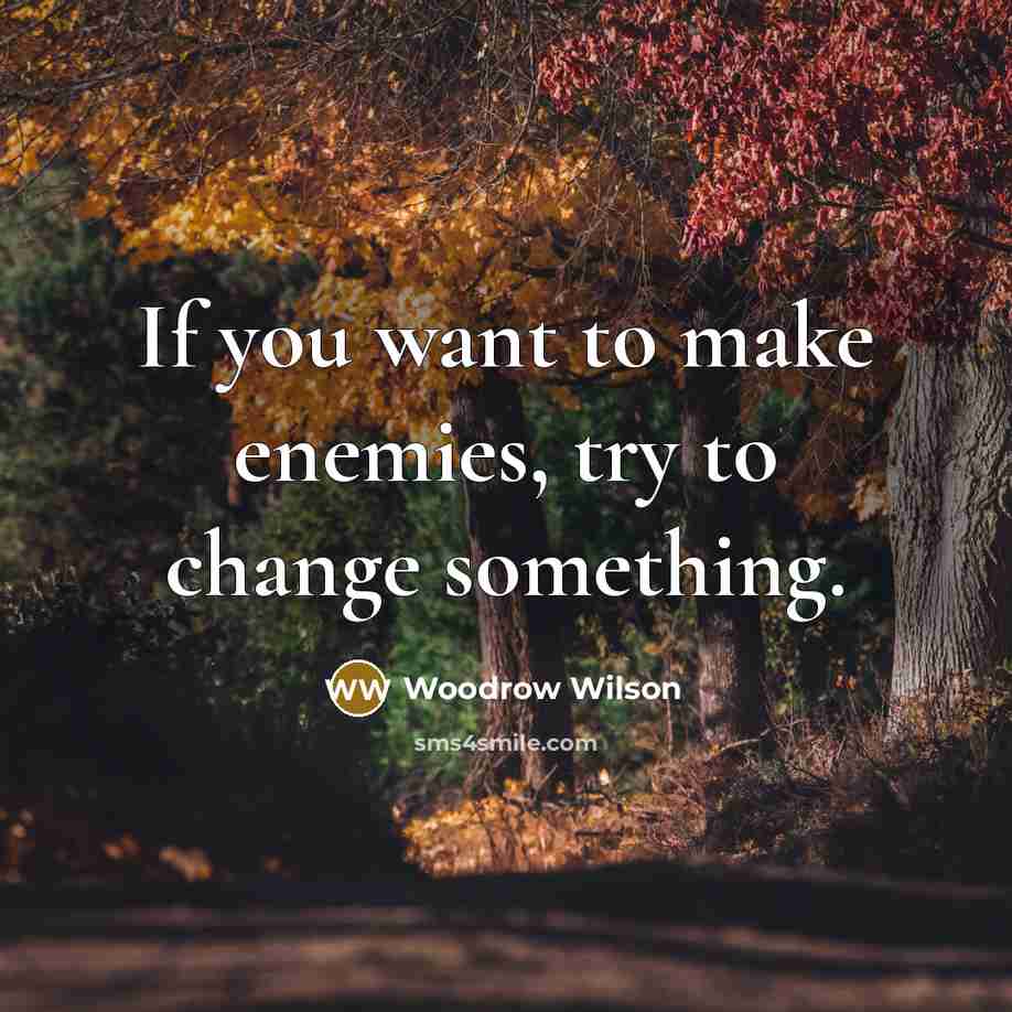“If you want to make enemies, try to change something.…” quote by Woodrow Wilson