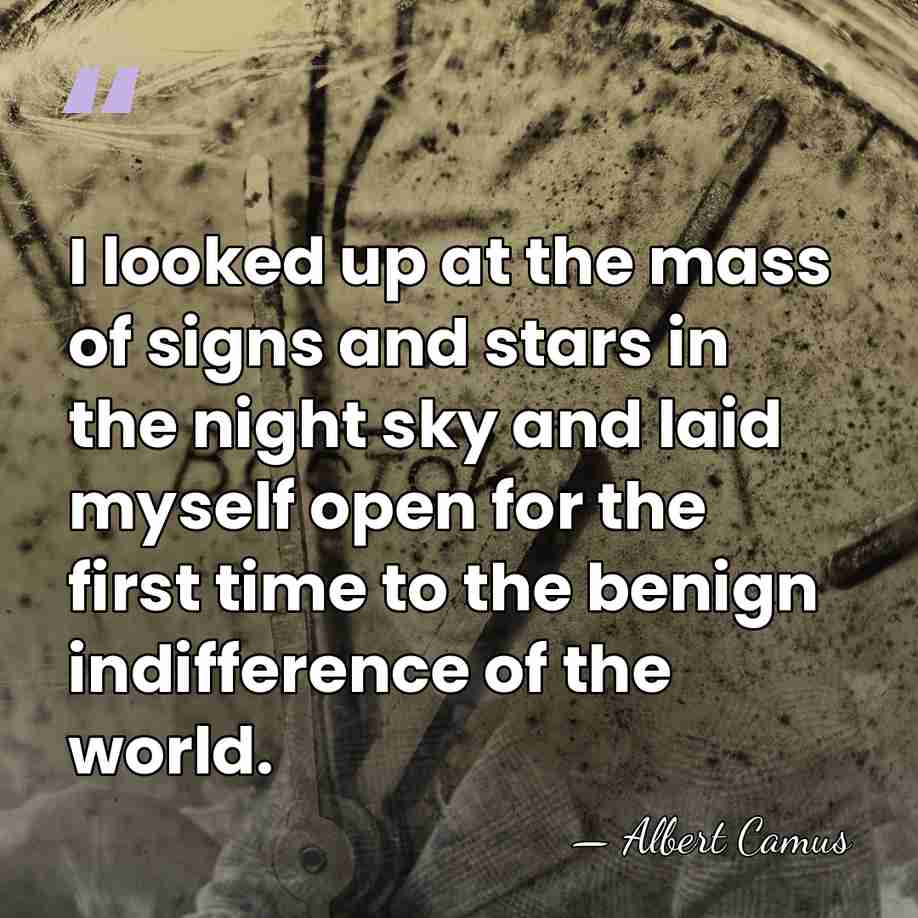 I looked up at the mass of signs and stars in the&hellip; - Albert Camus