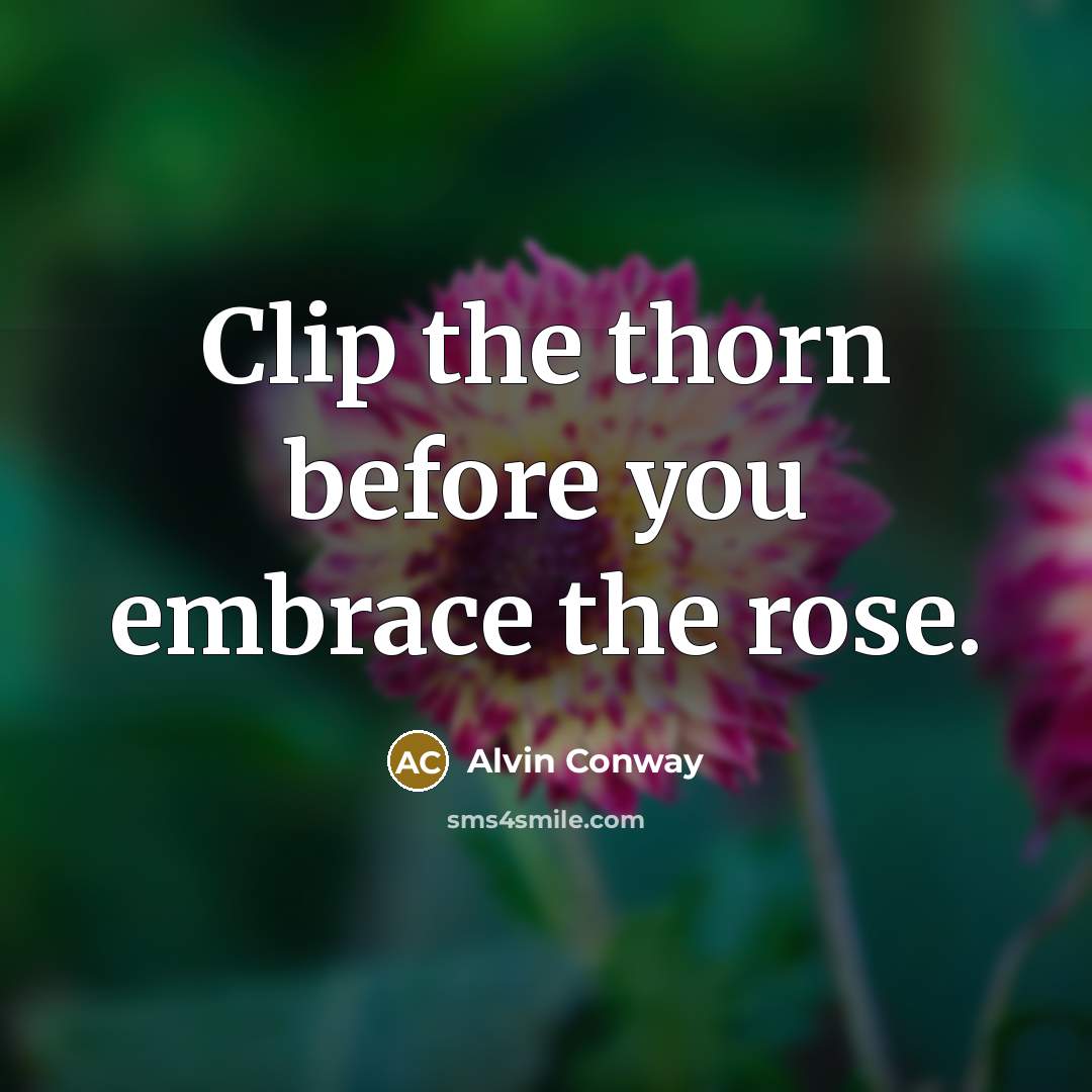 “Clip the thorn before you embrace the rose.…” quote by Alvin Conway