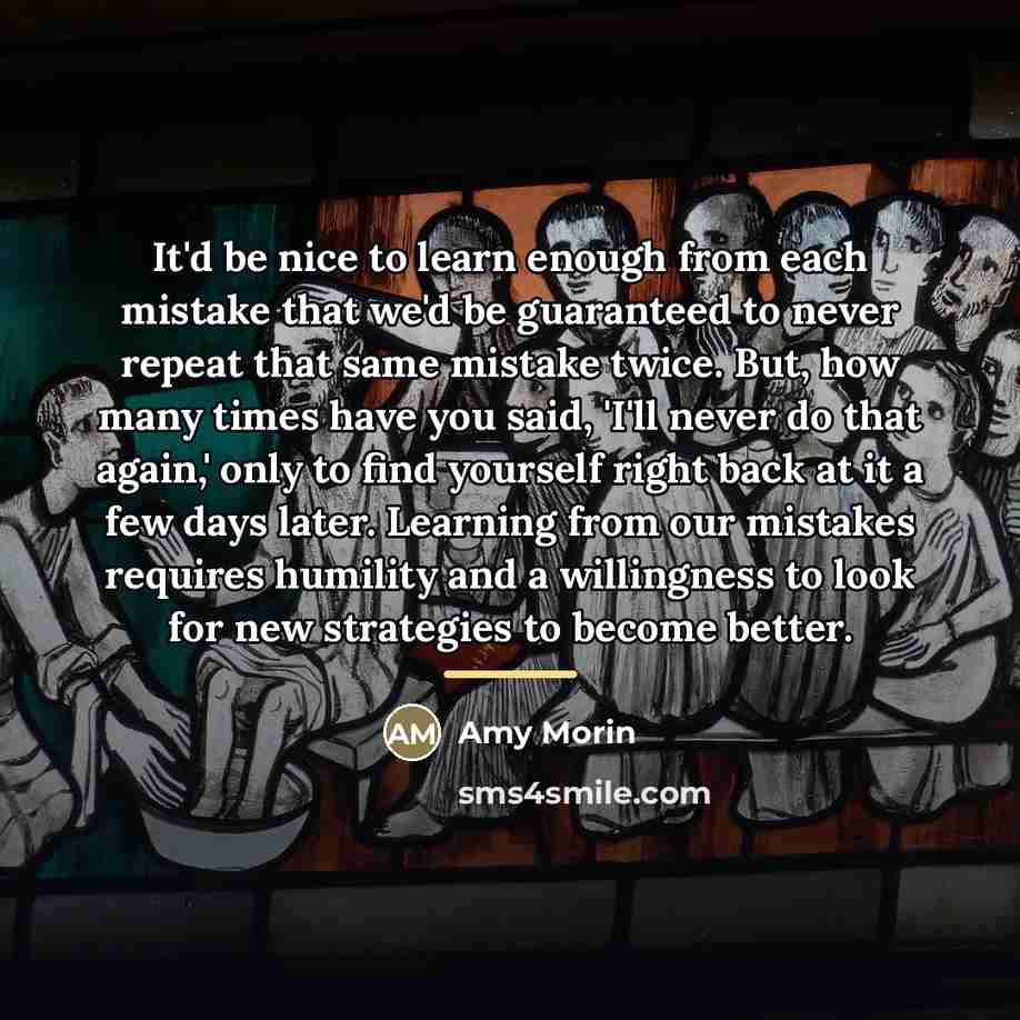 “It'd be nice to learn enough from each mistake that…” quote by Amy Morin