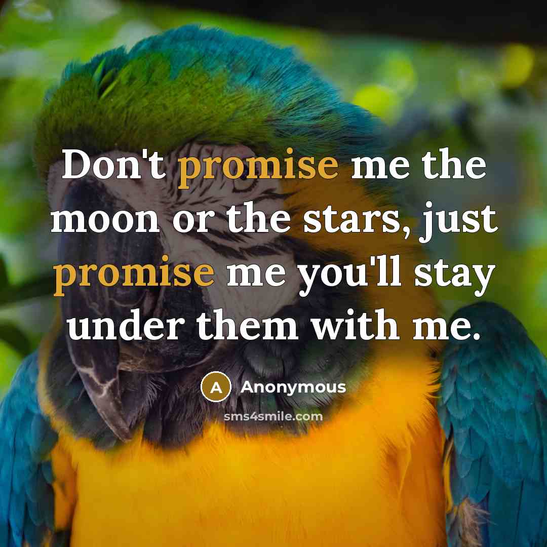 “Don't promise me the moon or the stars, just promise…” quote by Anonymous