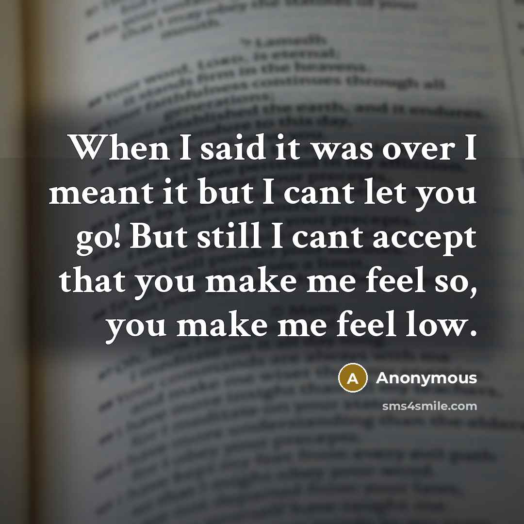 “When I said it was over I meant it but I cant let you go! But still I cant accept that you make me feel so, you make me feel low.” quote by Anonymous