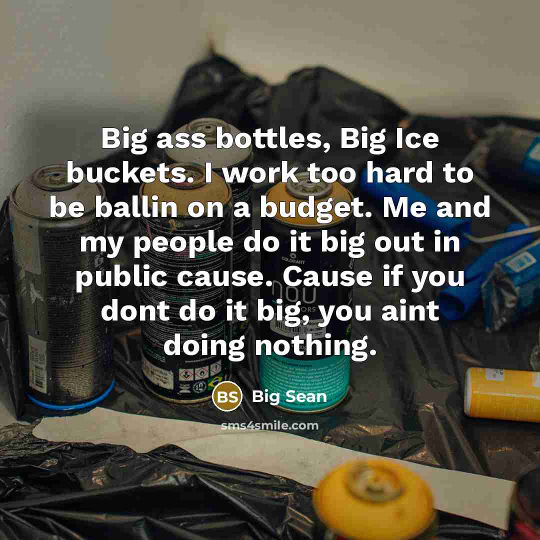 “Big ass bottles, Big Ice buckets. I work too hard…” quote by Big Sean