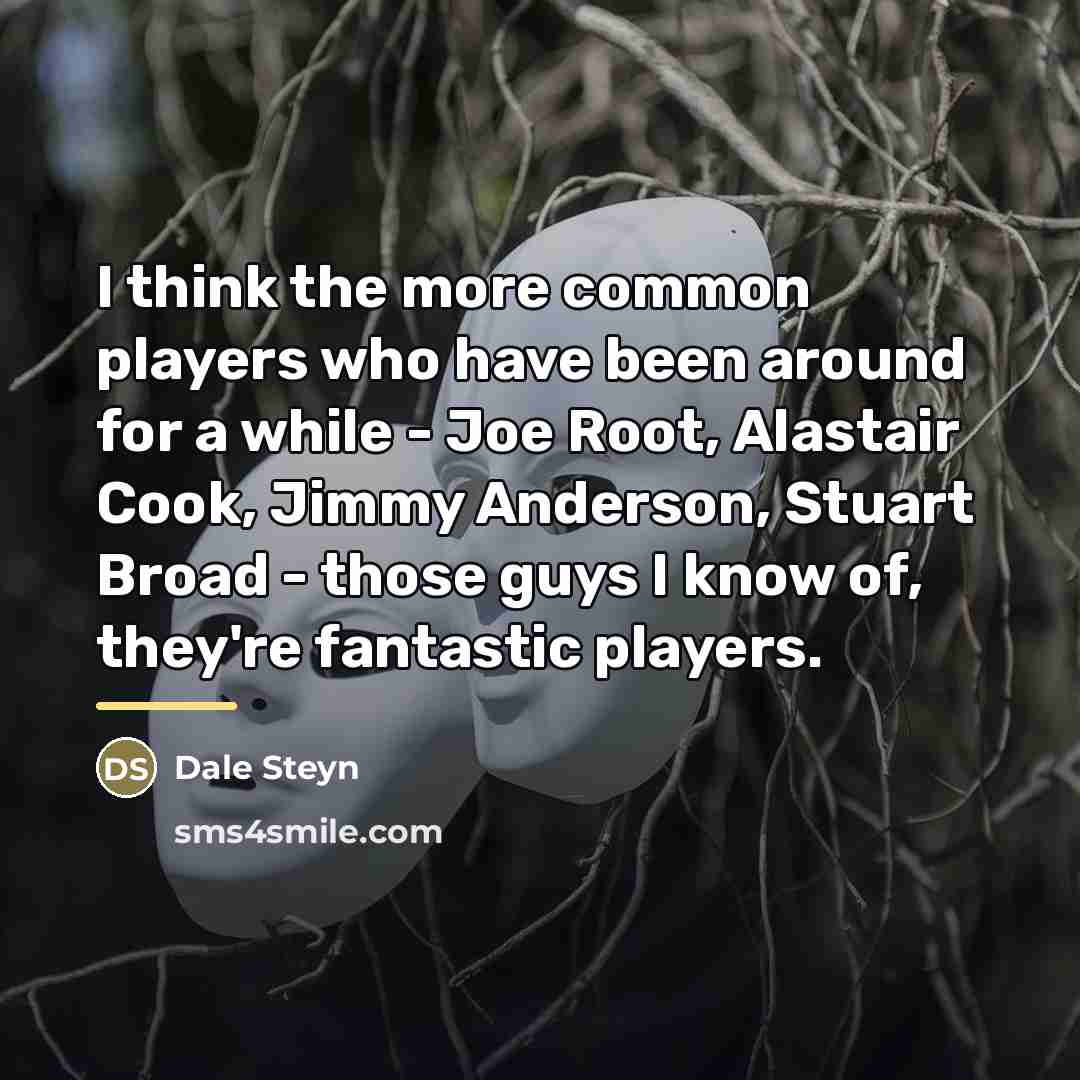 “I think the more common players who have been around…” quote by Dale Steyn