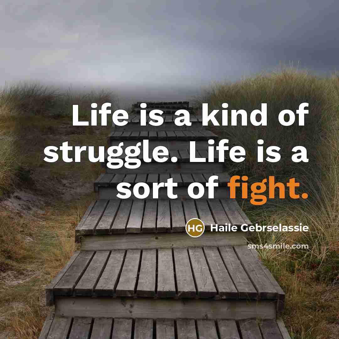 “Life is a kind of struggle. Life is a sort…” quote by Haile Gebrselassie