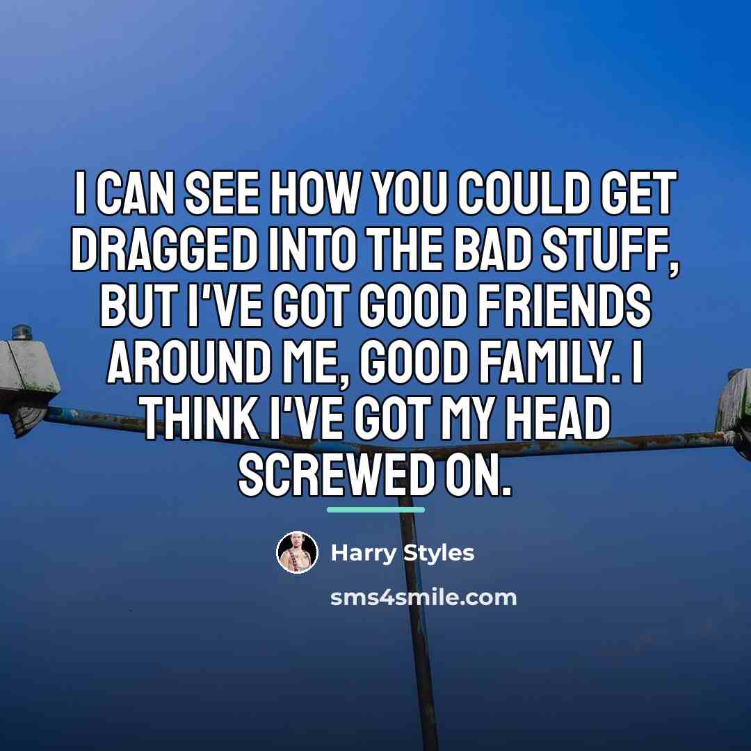 “I can see how you could get dragged into the…” quote by Harry Styles
