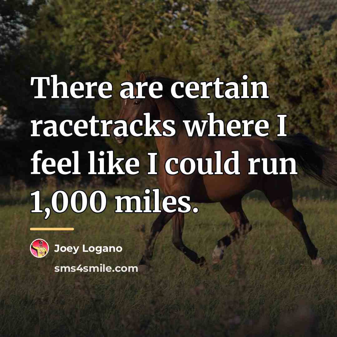 “There are certain racetracks where I feel like I could…” quote by Joey Logano