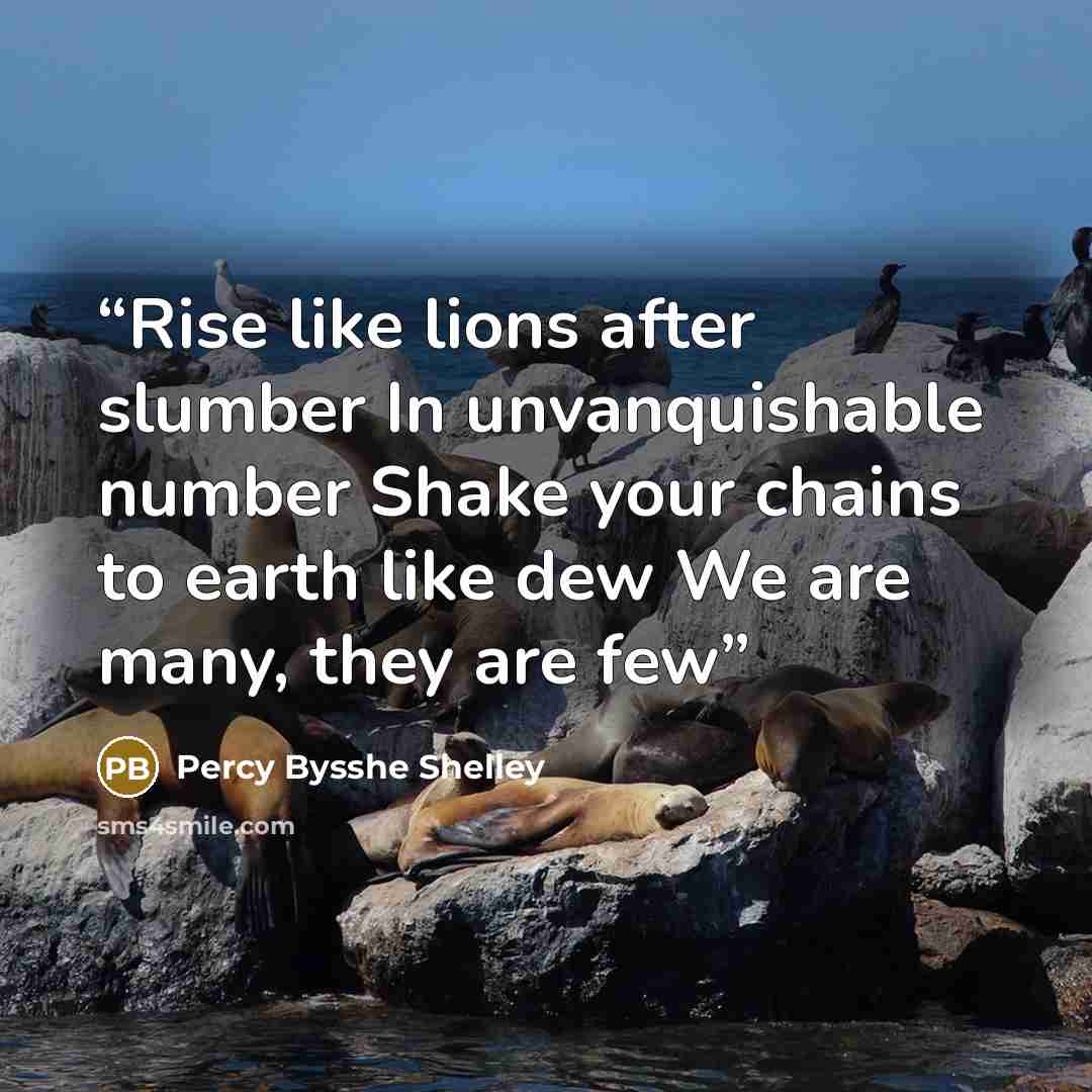“Rise like lions after slumber In unvanquishable number Shake your chains to earth like dew We are many, they are few” quote by Percy Bysshe Shelley