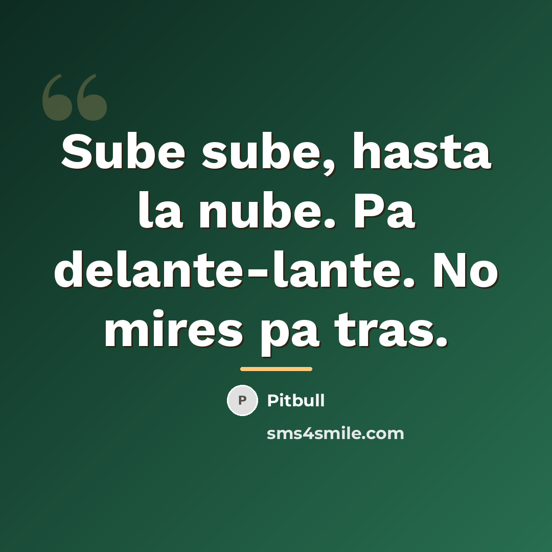 “Sube sube, hasta la nube. Pa delante-lante. No mires pa…” quote by Pitbull