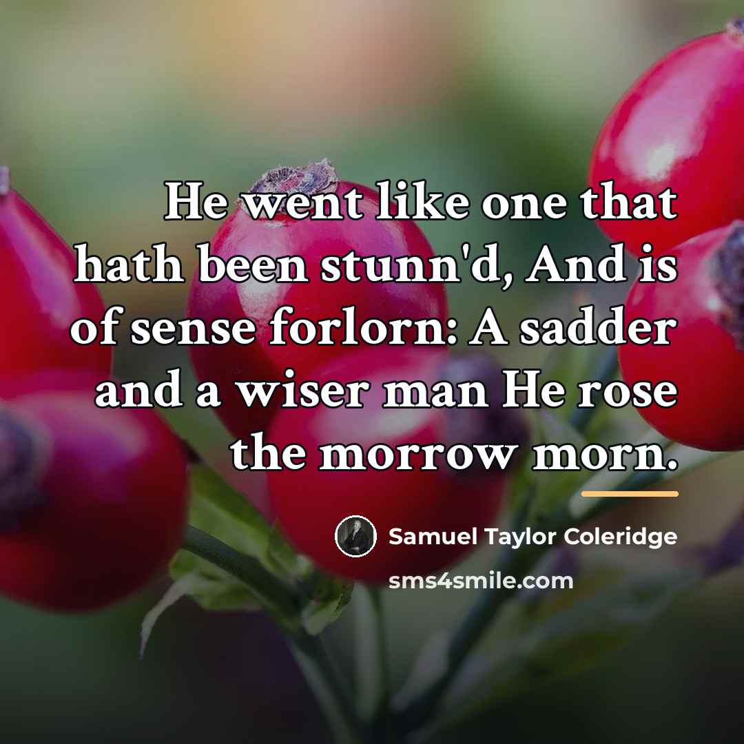 “He went like one that hath been stunn'd, And is…” quote by Samuel Taylor Coleridge