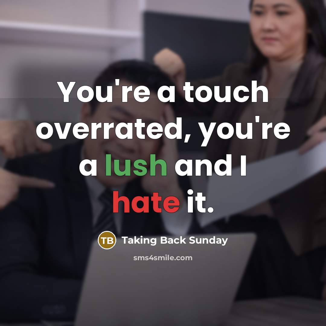 “You're a touch overrated, you're a lush and I hate…” quote by Taking Back Sunday