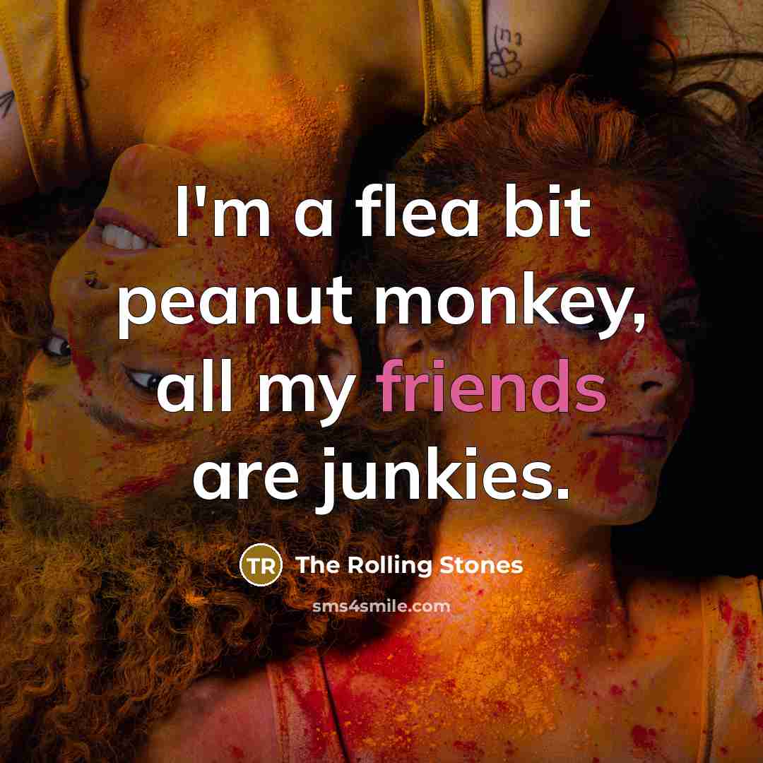 “I'm a flea bit peanut monkey, all my friends are junkies.” quote by The Rolling Stones