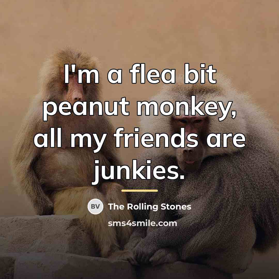 “I'm a flea bit peanut monkey, all my friends are…” quote by The Rolling Stones