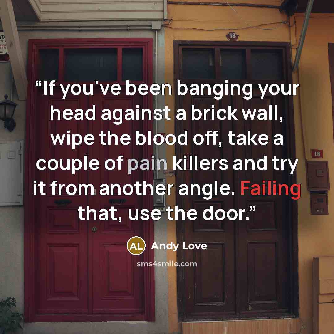 “If you've been banging your head against a brick wall, wipe the blood off, take a couple of pain killers and try it from another angle. Failing that, use the door.” quote by Andy Love