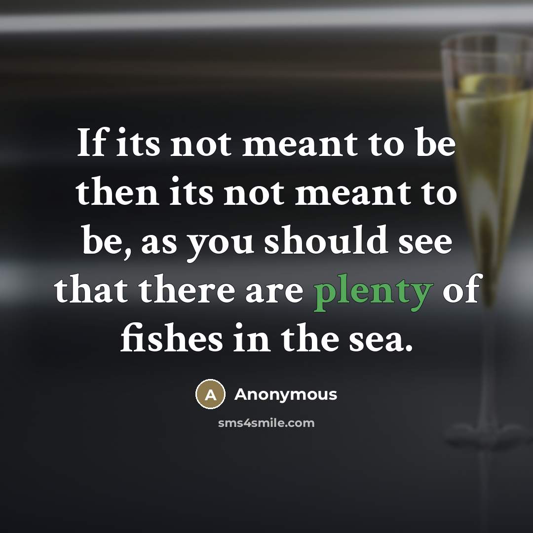 “If its not meant to be then its not meant…” quote by Anonymous