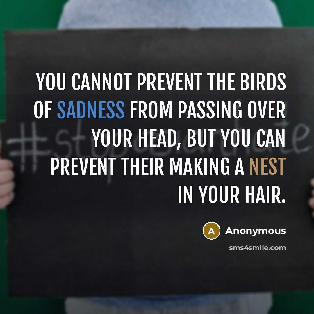 “You cannot prevent the birds of sadness from passing over…” quote by Anonymous