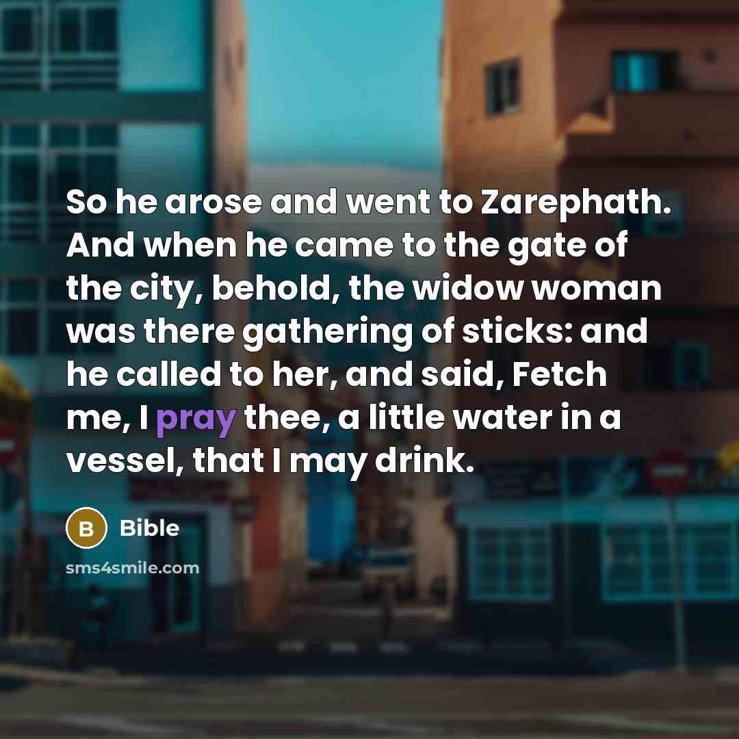 “So he arose and went to Zarephath. And when he…” quote by Bible