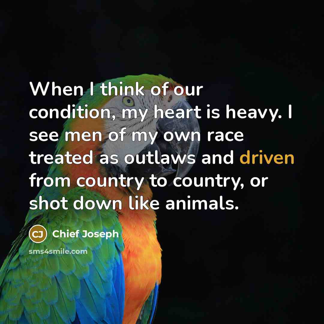 “When I think of our condition, my heart is heavy.…” quote by Chief Joseph