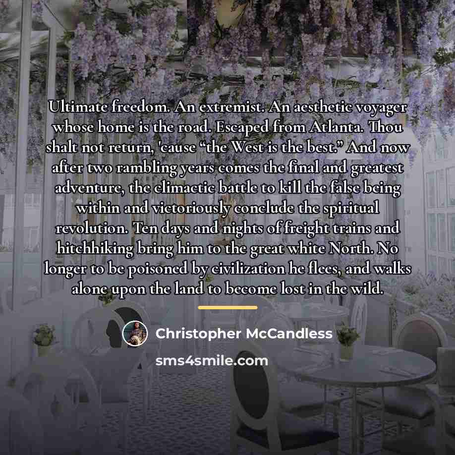 “Ultimate freedom. An extremist. An aesthetic voyager whose home is…” quote by Christopher McCandless