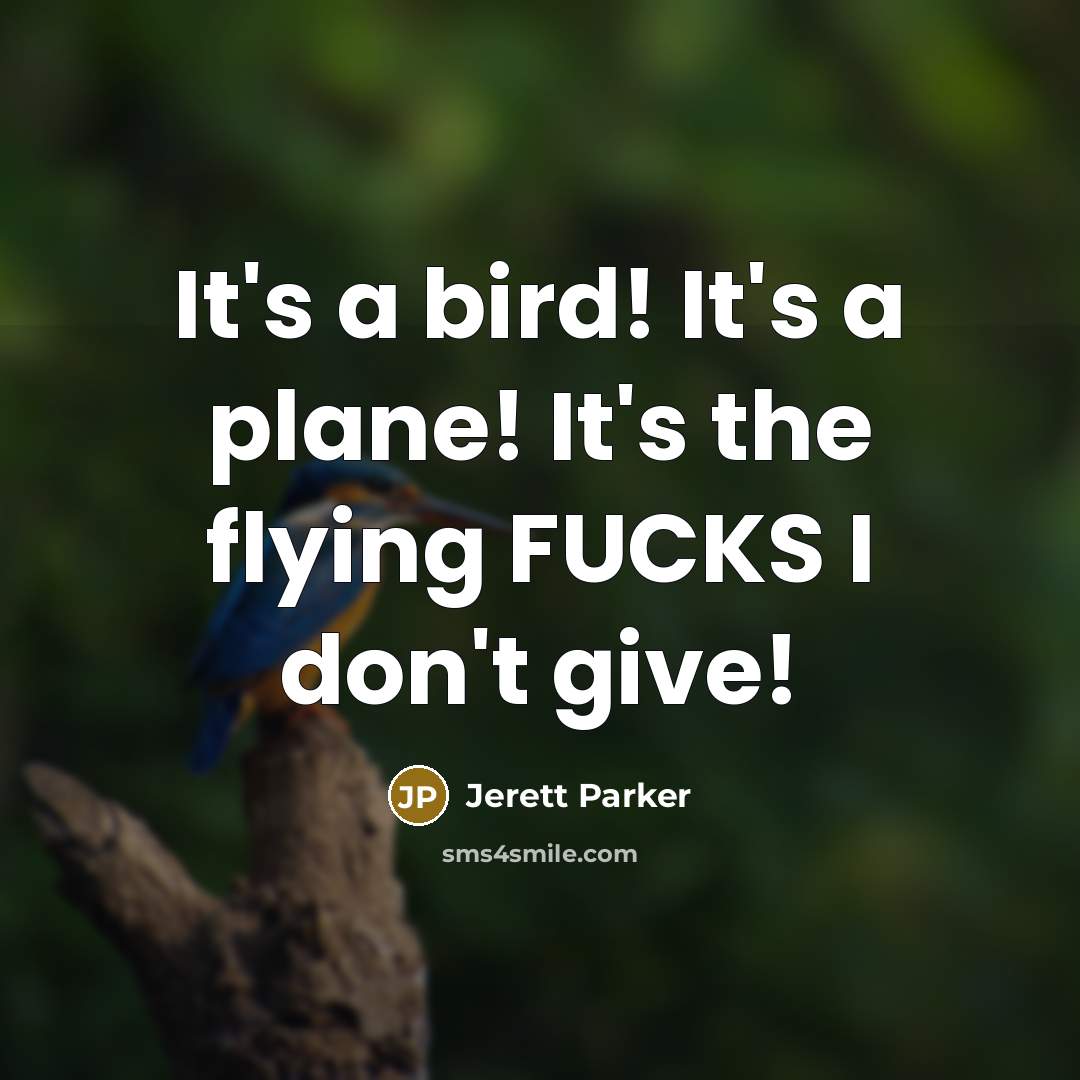 “It's a bird! It's a plane! It's the flying FUCKS I don't give!” quote by Jerett Parker
