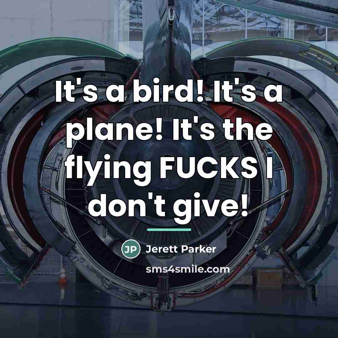 “It's a bird! It's a plane! It's the flying FUCKS…” quote by Jerett Parker