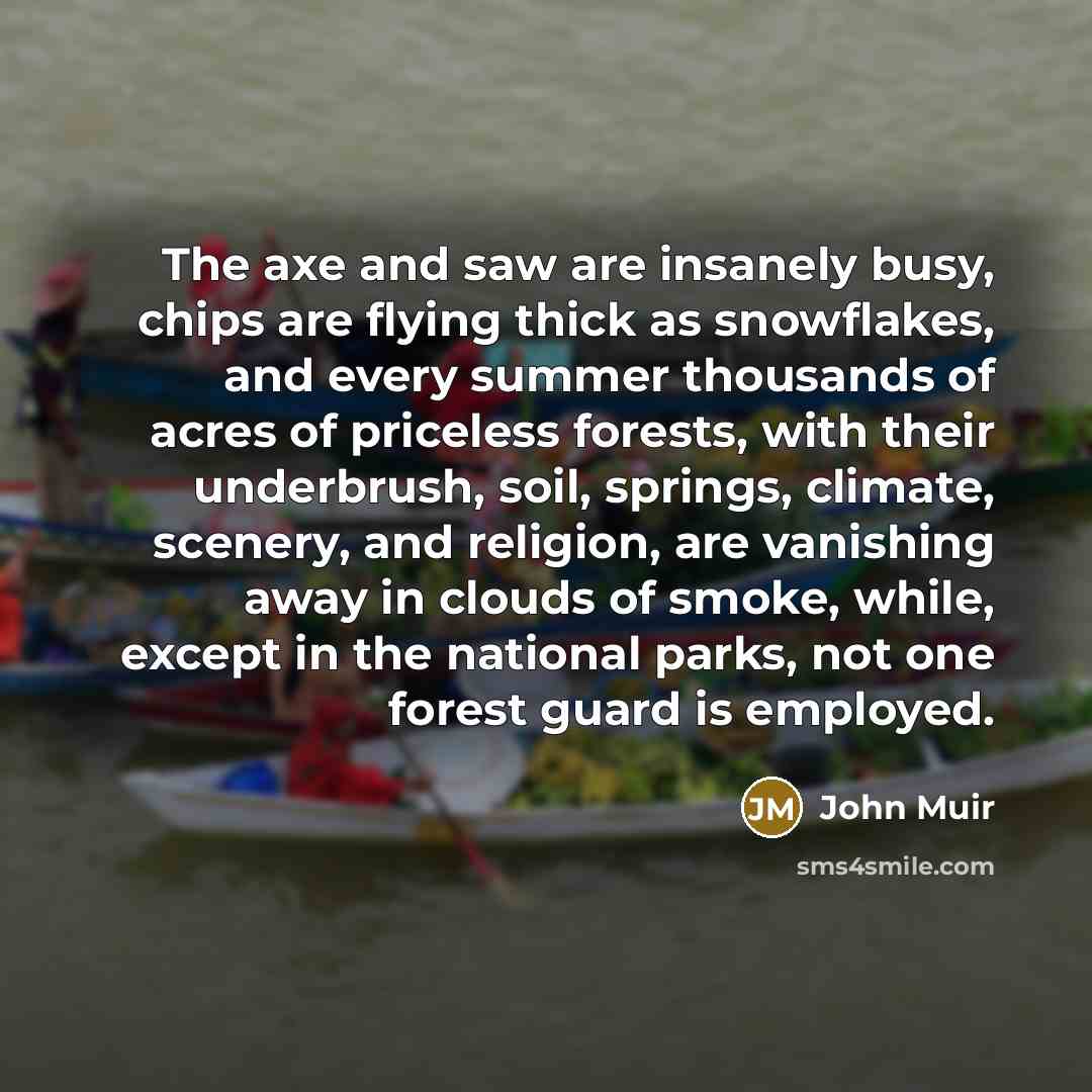“The axe and saw are insanely busy, chips are flying…” quote by John Muir