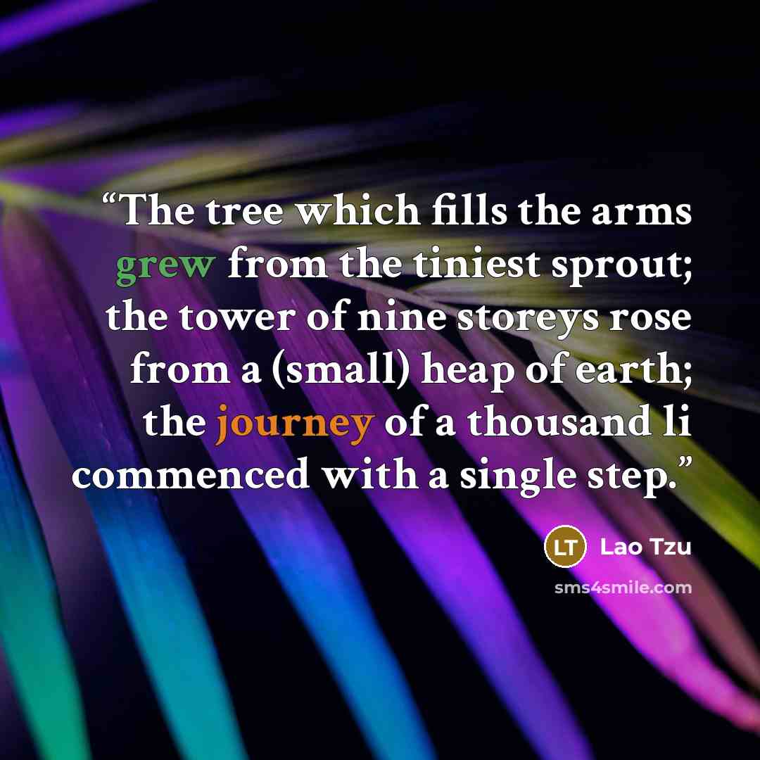 “The tree which fills the arms grew from the tiniest sprout; the tower of nine storeys rose from a (small) heap of earth; the journey of a thousand li commenced with a single step.” quote by Lao Tzu
