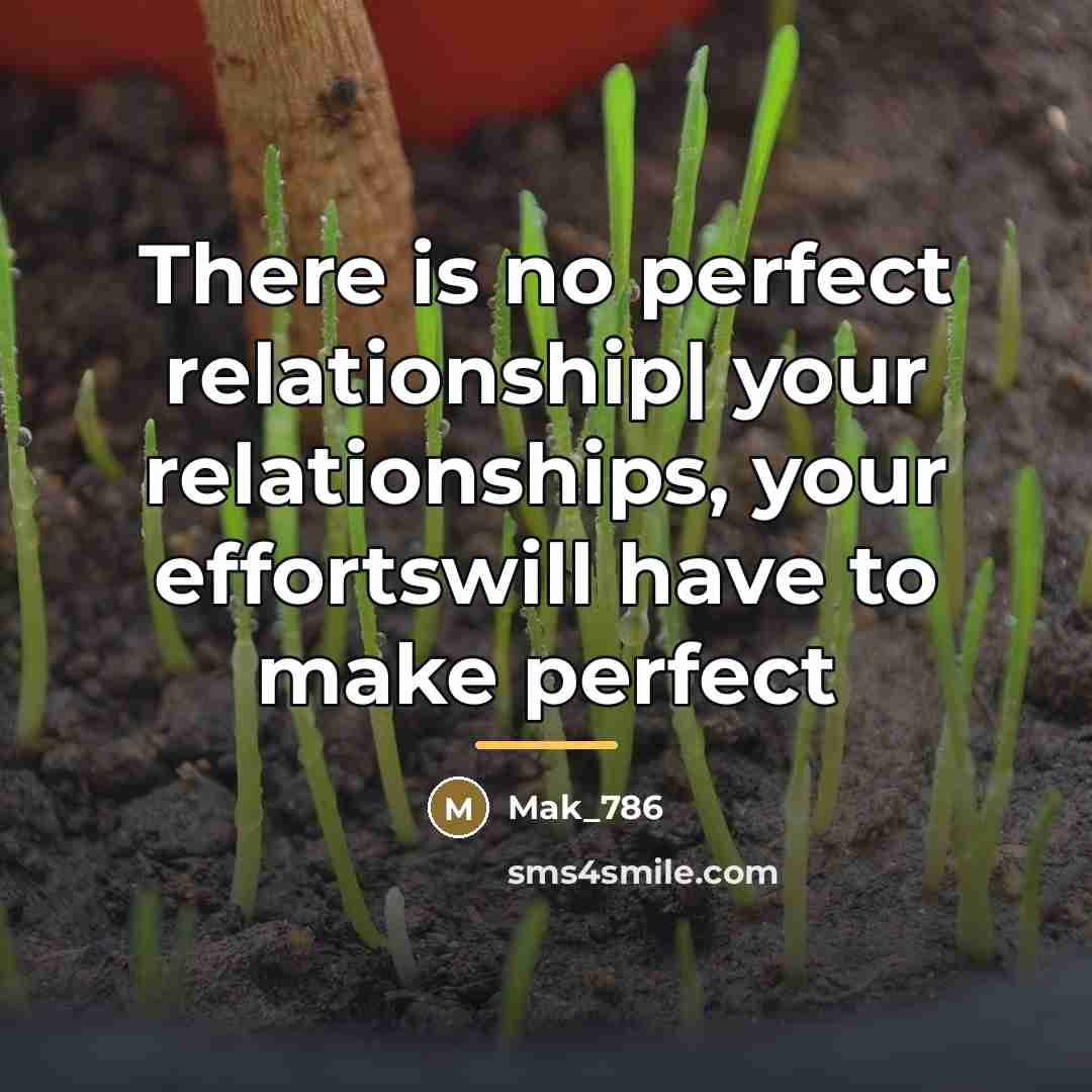 “There is no perfect relationship| your relationships, your effortswill have…” quote by Mak_786
