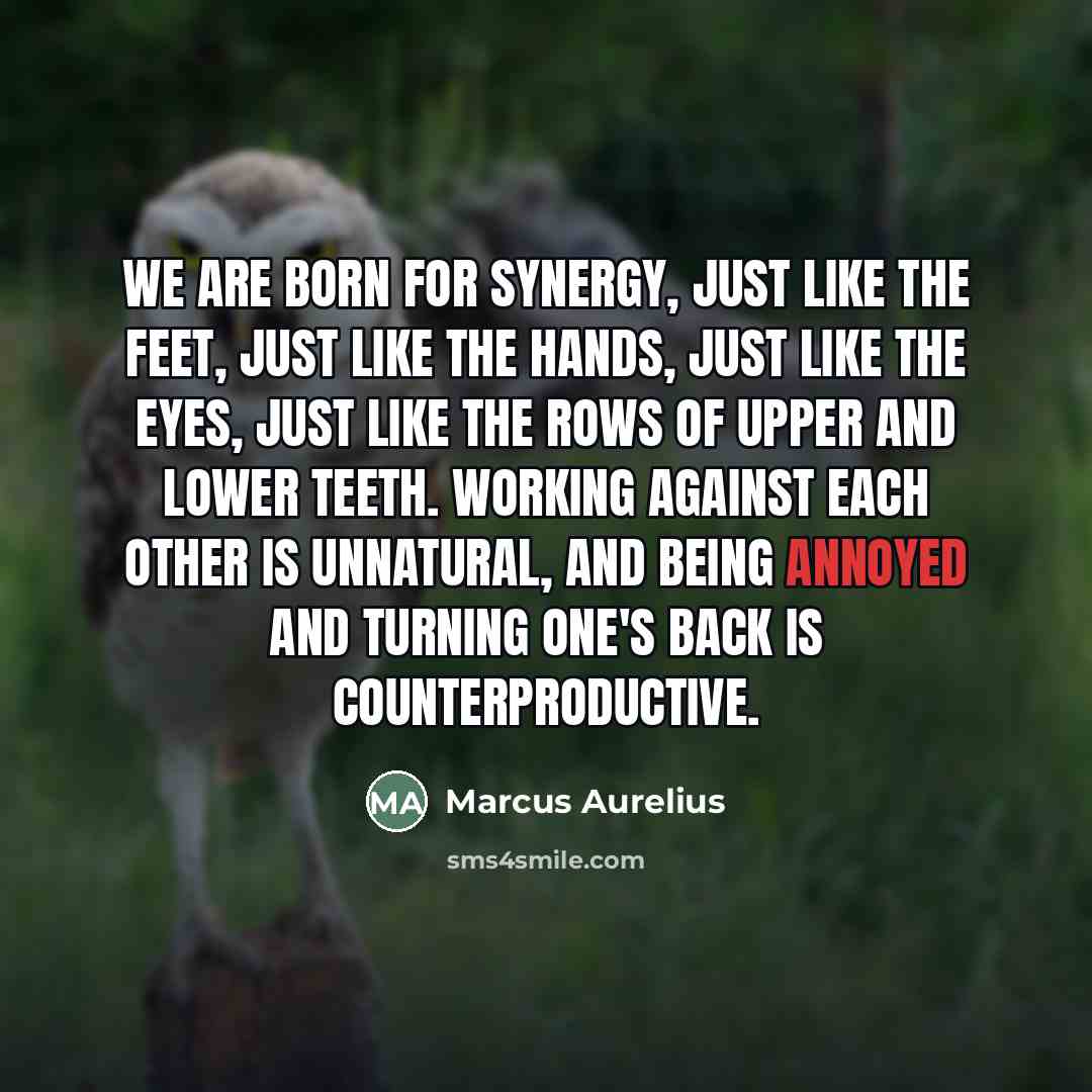 “We are born for synergy, just like the feet, just…” quote by Marcus Aurelius