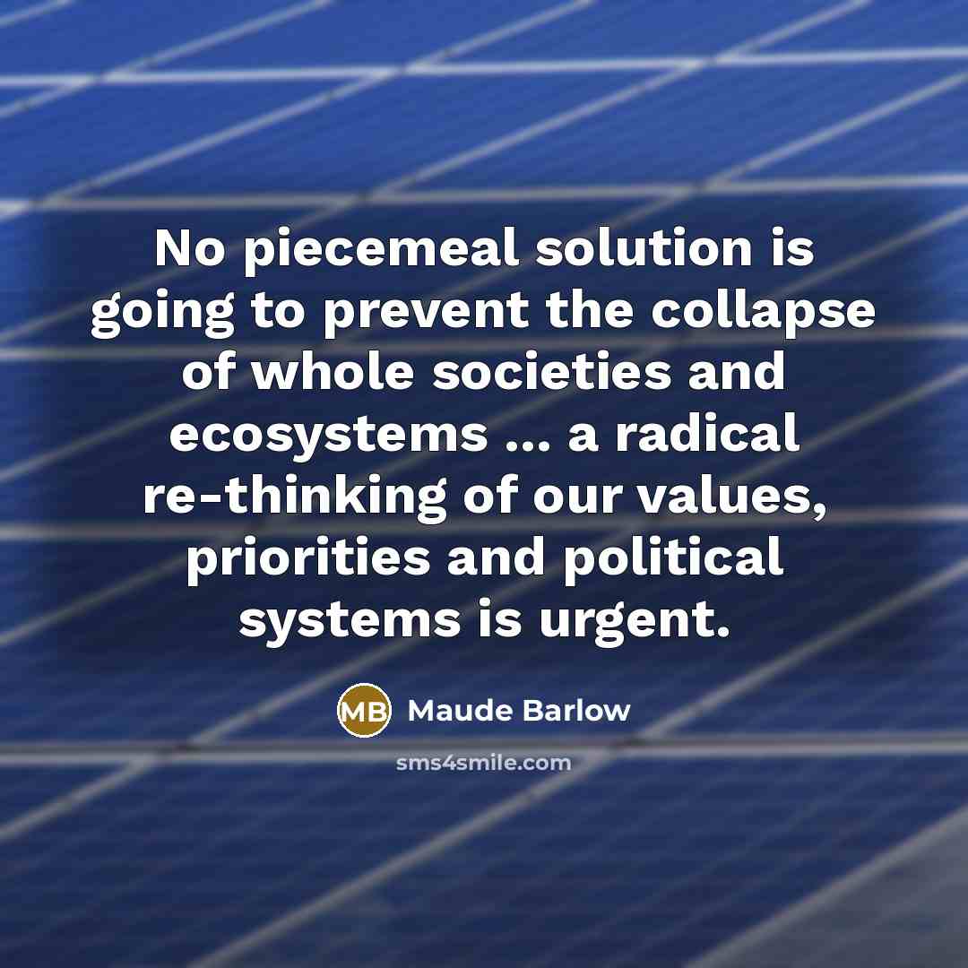 “No piecemeal solution is going to prevent the collapse of…” quote by Maude Barlow