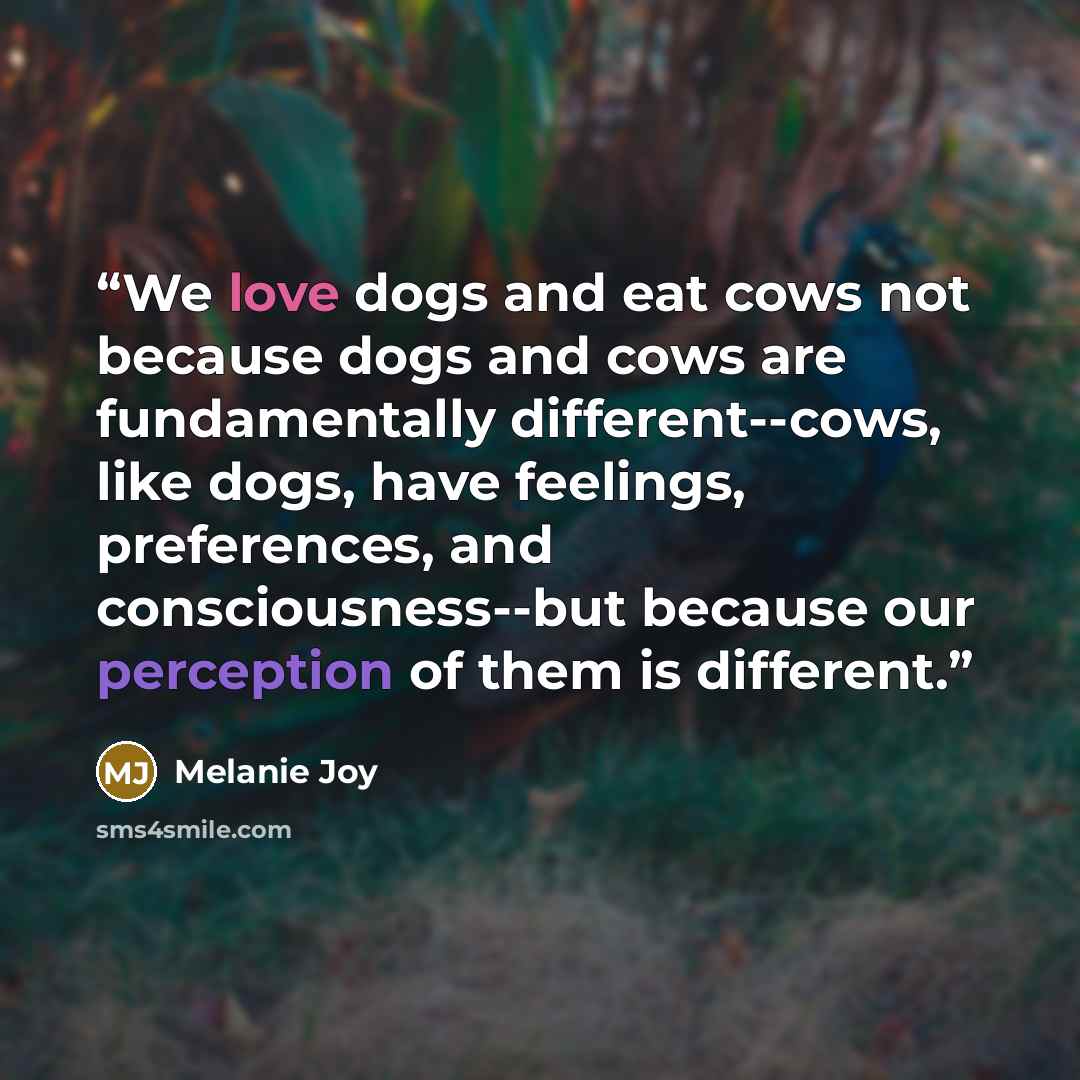 “We love dogs and eat cows not because dogs and cows are fundamentally different--cows, like dogs, have feelings, preferences, and consciousness--but because our perception of them is different.” quote by Melanie Joy