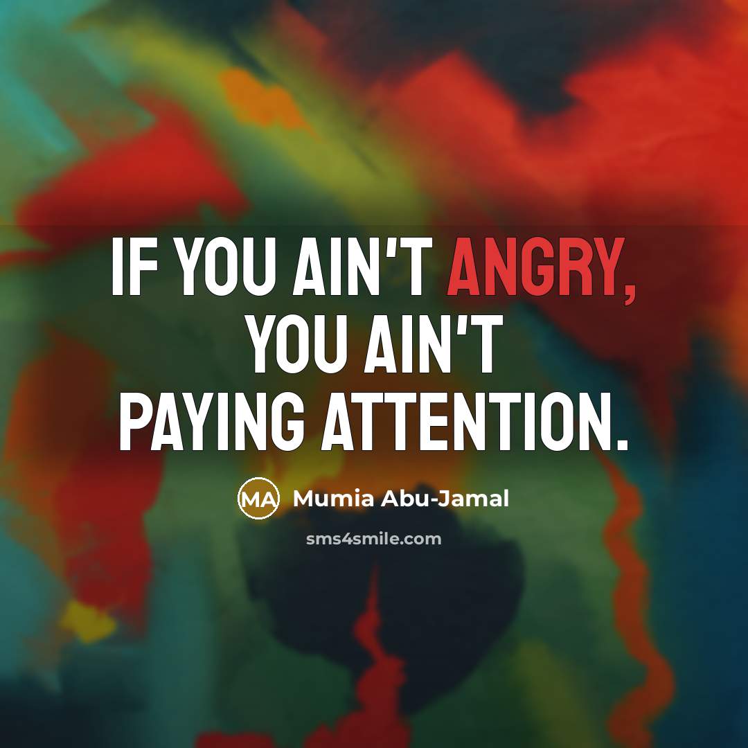 “If you ain't angry, you ain't paying attention.…” quote by Mumia Abu-Jamal