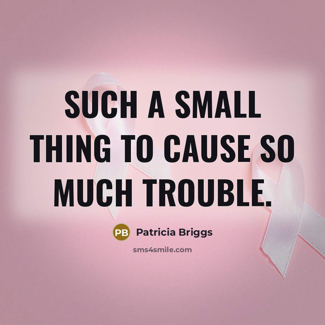 “Such a small thing to cause so much trouble.…” quote by Patricia Briggs