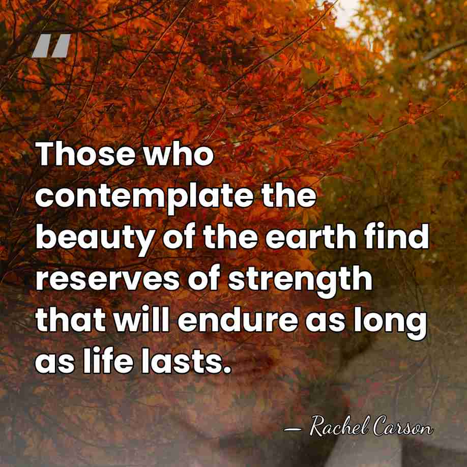 Those who contemplate the beauty of the earth find reserves of strength&hellip; - Rachel Carson