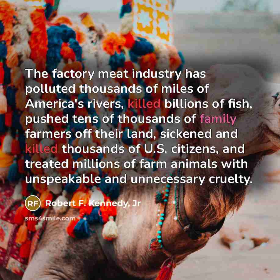 “The factory meat industry has polluted thousands of miles of…” quote by Robert F. Kennedy, Jr
