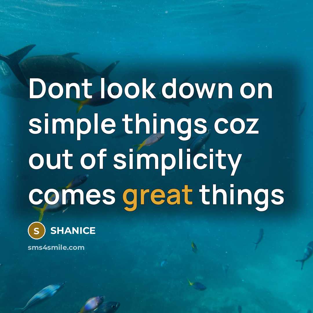 “Dont look down on simple things coz out of simplicity comes great things” quote by Shanice