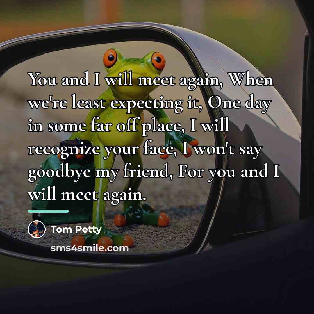 “You and I will meet again, When we're least expecting…” quote by Tom Petty