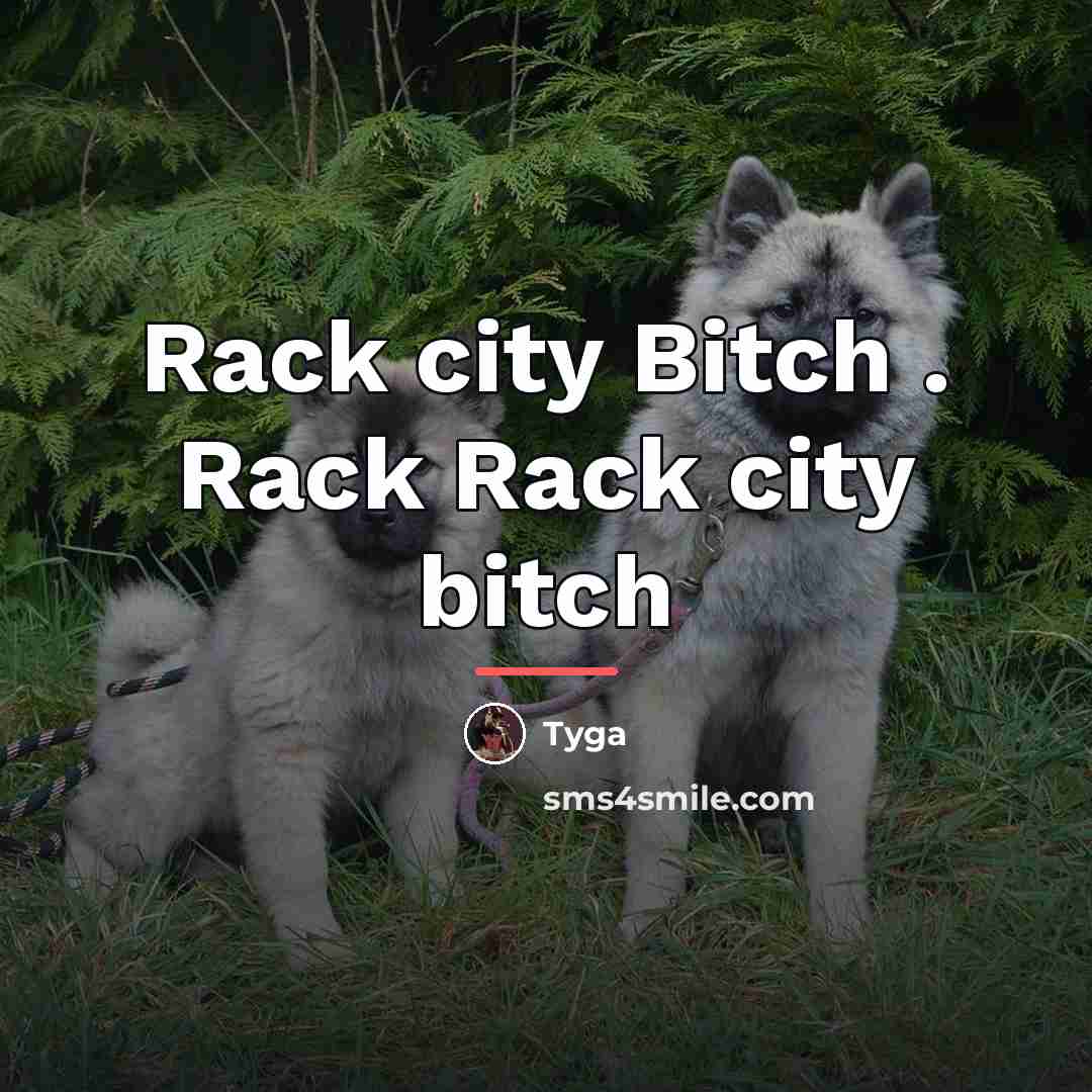 “Rack city Bitch . Rack Rack city bitch…” quote by Tyga