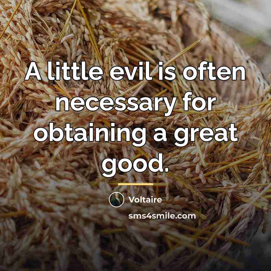 “A little evil is often necessary for obtaining a great…” quote by Voltaire