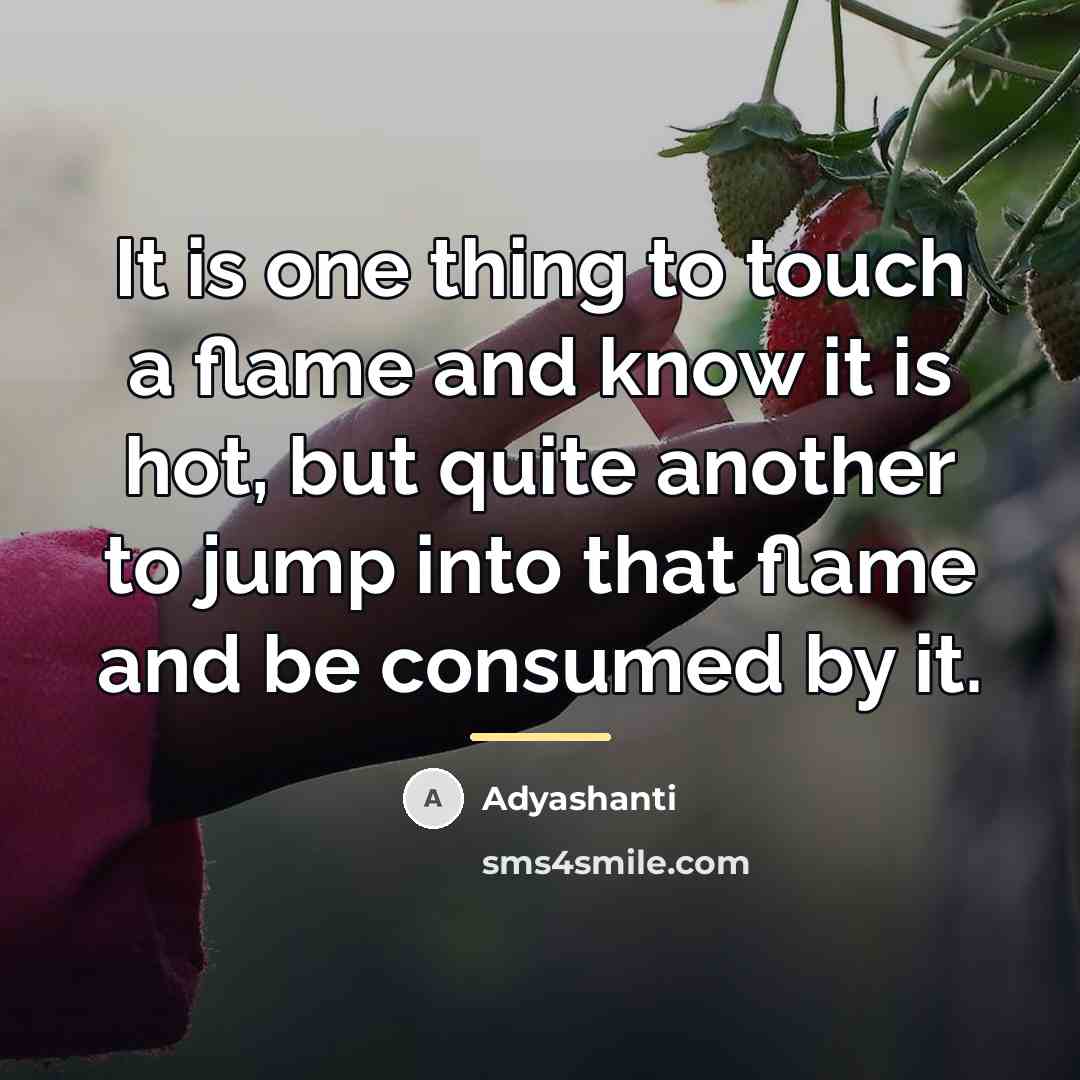 “It is one thing to touch a flame and know…” quote by Adyashanti