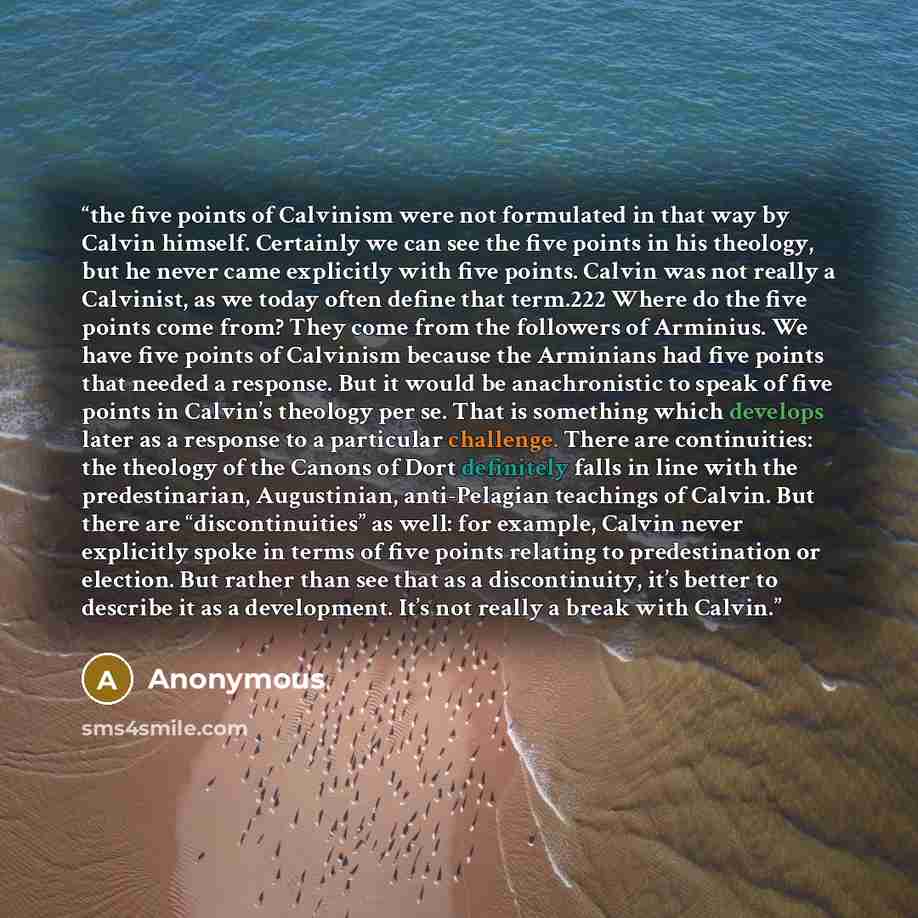 “the five points of Calvinism were not formulated in that way by Calvin himself. Certainly we can see the five points in his theology, but he never came explicitly with five points. Calvin was not really a Calvinist, as we today often define that term.222 Where do the five points come from? They…” quote by Anonymous