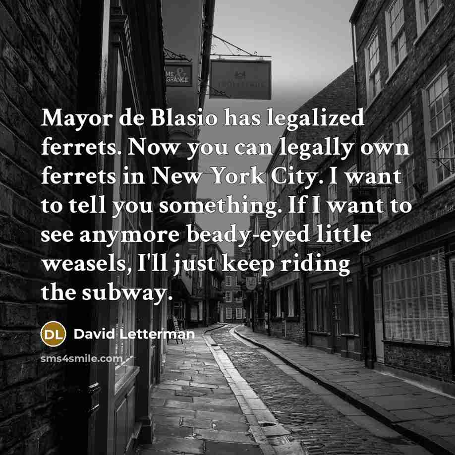 “Mayor de Blasio has legalized ferrets. Now you can legally…” quote by David Letterman